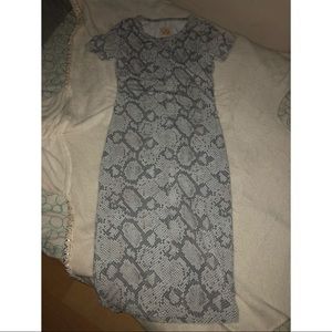 Chaser snake print long dress